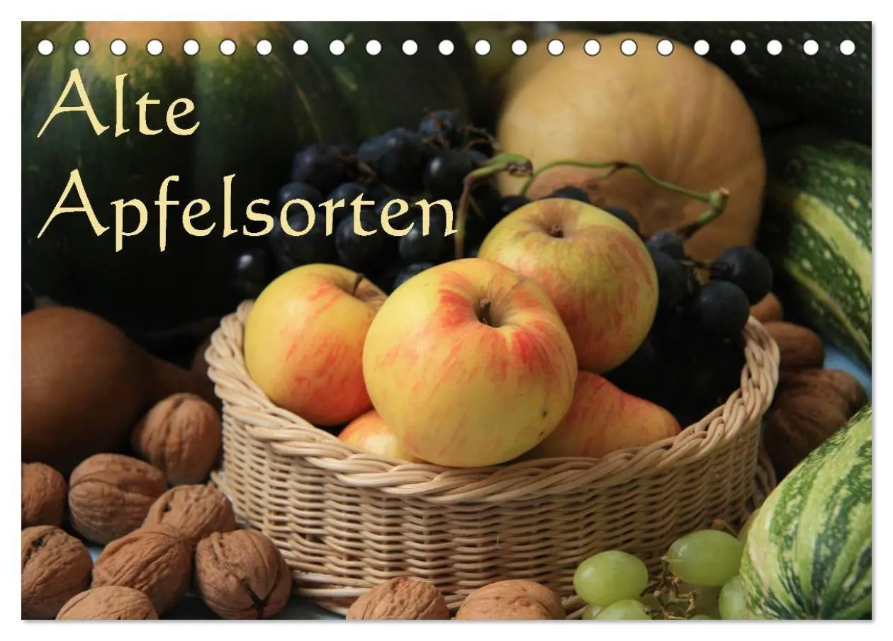 Cover: 9783516161632 | Alte Apfelsorten (Tischkalender 2026 DIN A5 quer), CALVENDO...